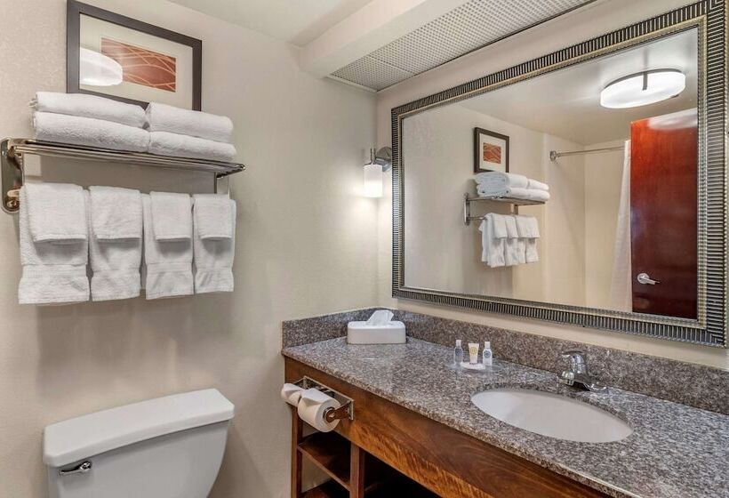 فندق Comfort Inn & Suites