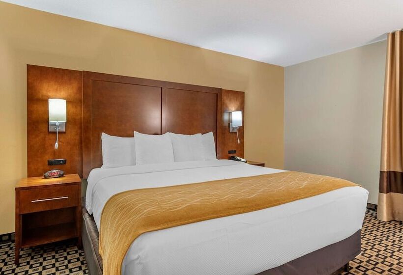 فندق Comfort Inn & Suites
