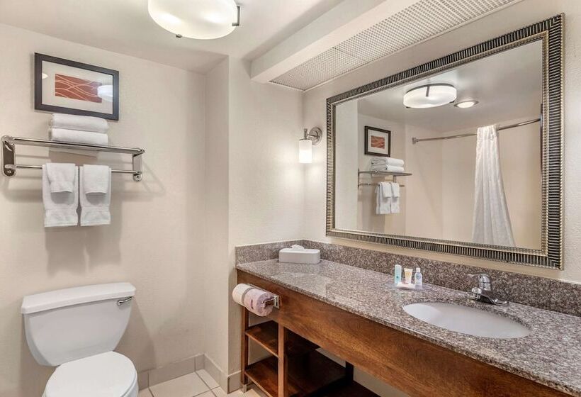 فندق Comfort Inn & Suites