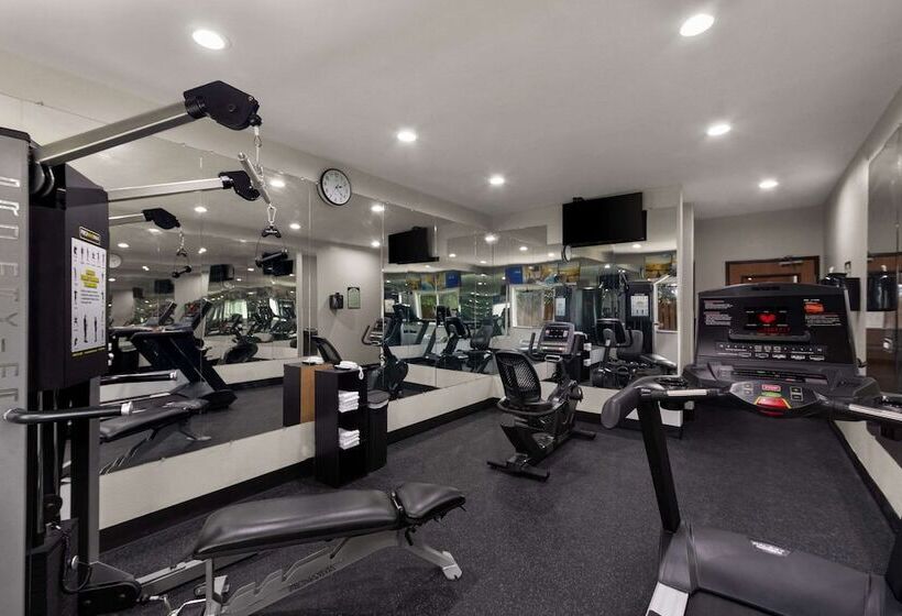 فندق Comfort Inn & Suites