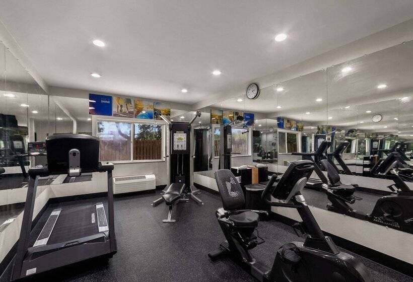 فندق Comfort Inn & Suites