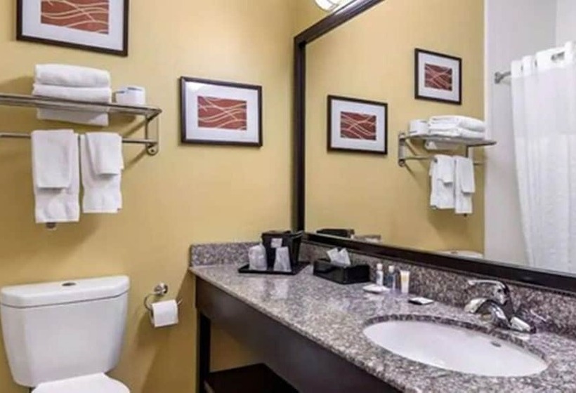 فندق Comfort Inn & Suites