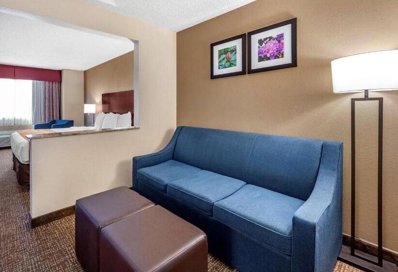 فندق Comfort Inn & Suites Kelso  Longview