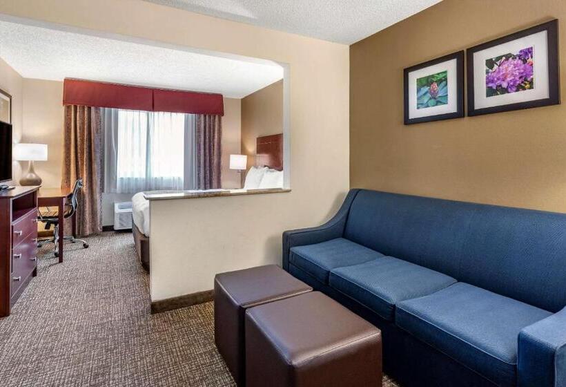 فندق Comfort Inn & Suites Kelso  Longview