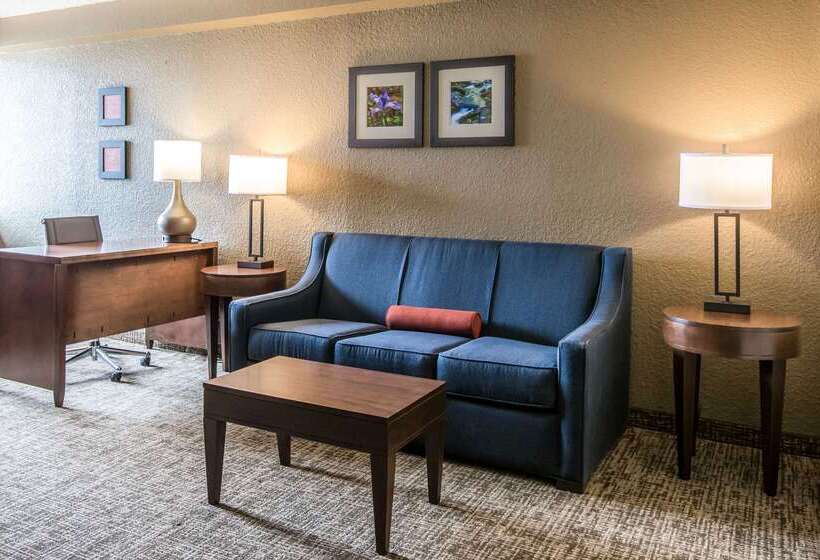 호텔 Comfort Inn & Suites Knoxville West