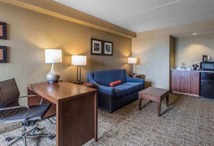 호텔 Comfort Inn & Suites Knoxville West