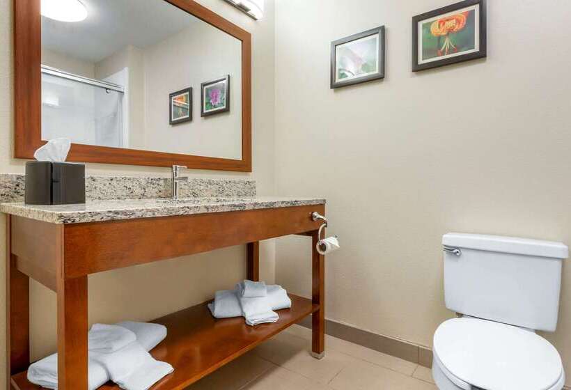 فندق Comfort Inn & Suites Lenoir Hwy 321 Northern Foothills