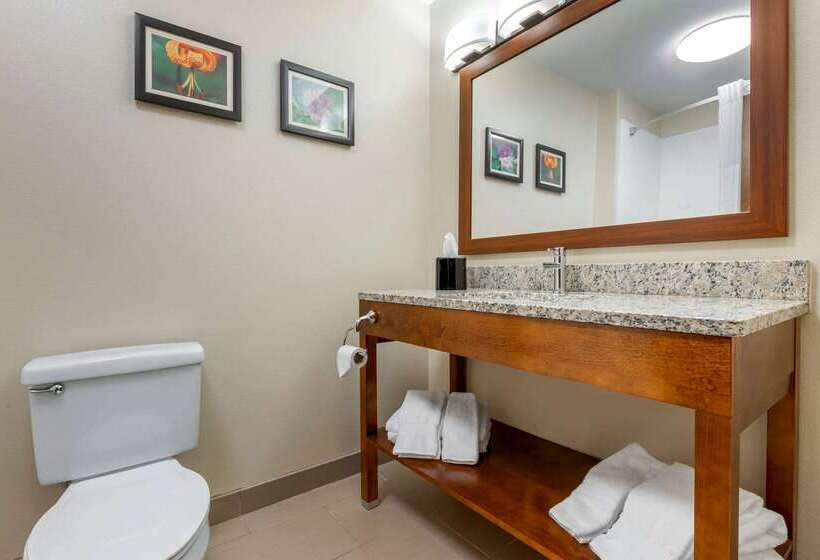 فندق Comfort Inn & Suites Lenoir Hwy 321 Northern Foothills