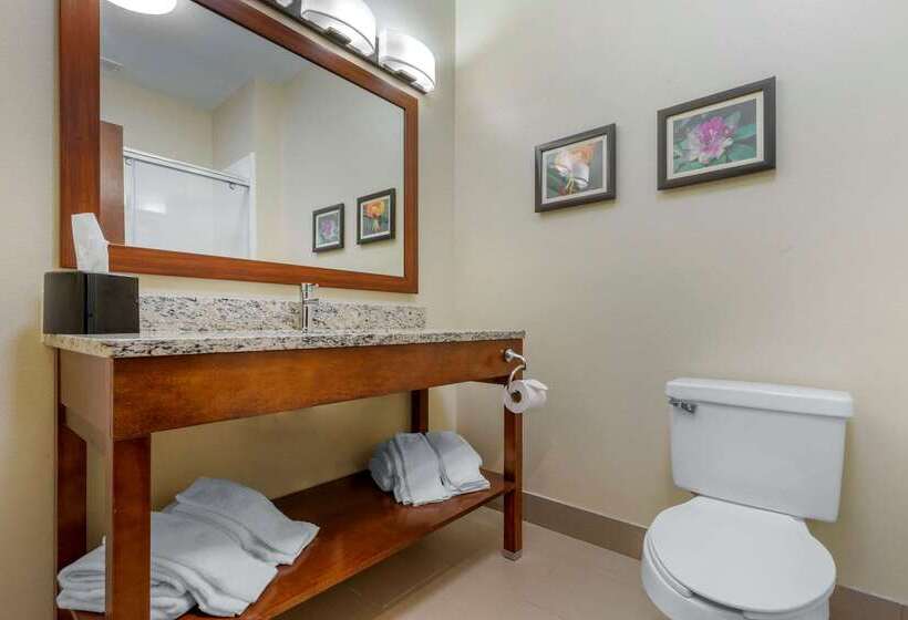 فندق Comfort Inn & Suites Lenoir Hwy 321 Northern Foothills