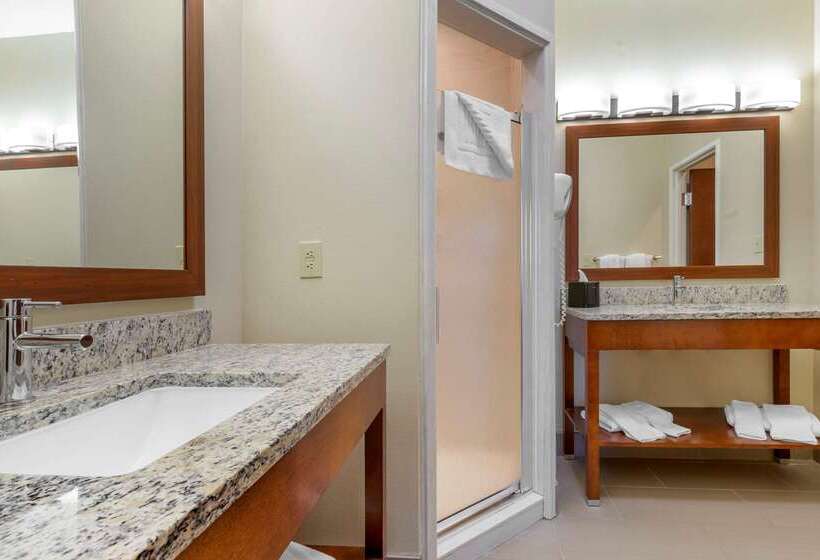 فندق Comfort Inn & Suites Lenoir Hwy 321 Northern Foothills