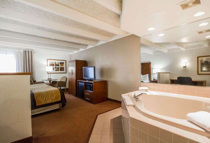 فندق Comfort Inn & Suites Madison  Airport