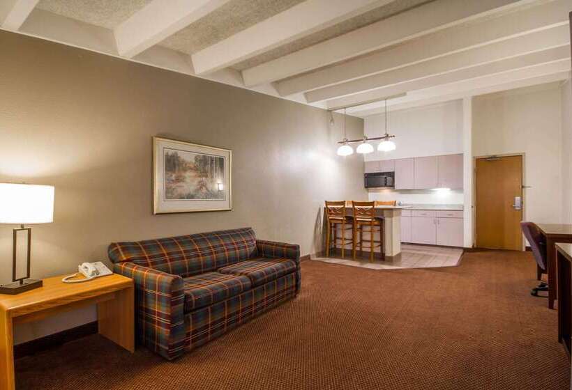 فندق Comfort Inn & Suites Madison  Airport