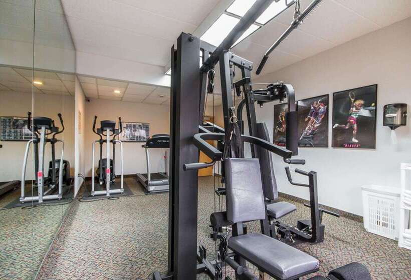 فندق Comfort Inn & Suites Madison  Airport