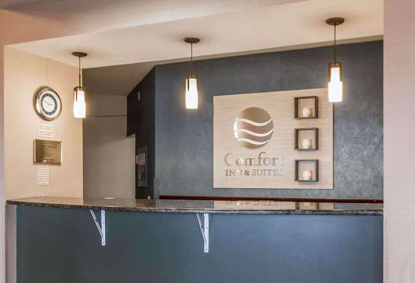 فندق Comfort Inn & Suites Madison  Airport