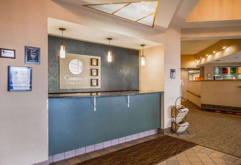 فندق Comfort Inn & Suites Madison  Airport