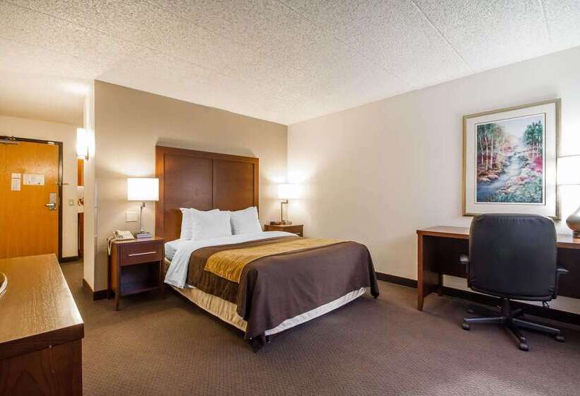 فندق Comfort Inn & Suites Madison  Airport