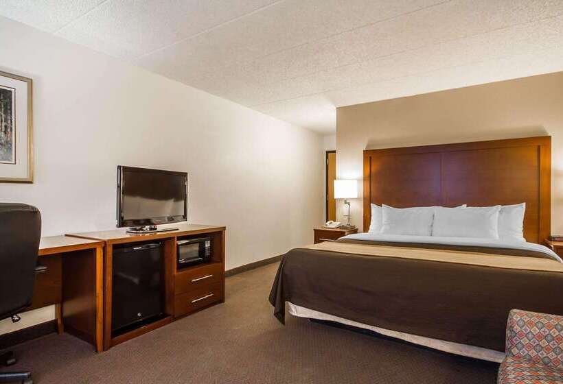 فندق Comfort Inn & Suites Madison  Airport