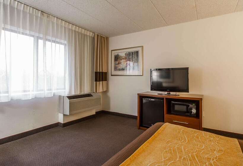 فندق Comfort Inn & Suites Madison  Airport