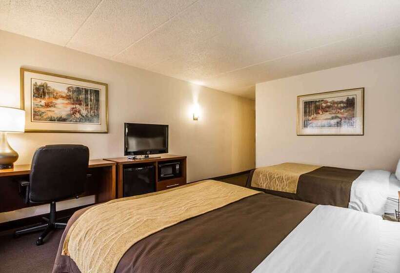 فندق Comfort Inn & Suites Madison  Airport