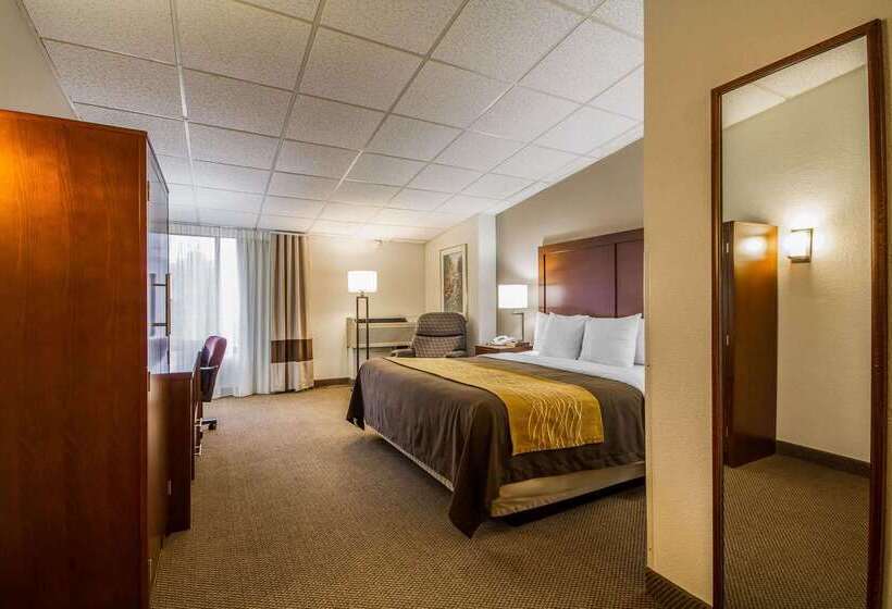 فندق Comfort Inn & Suites Madison  Airport