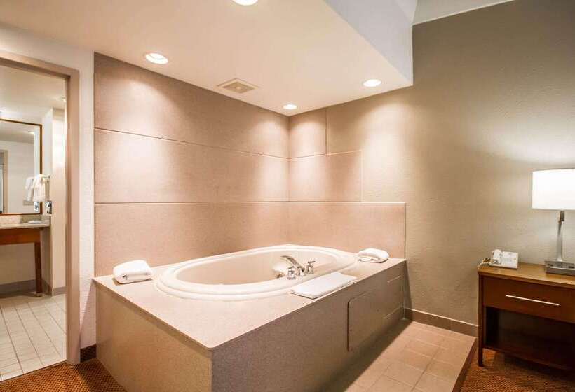 فندق Comfort Inn & Suites Madison  Airport