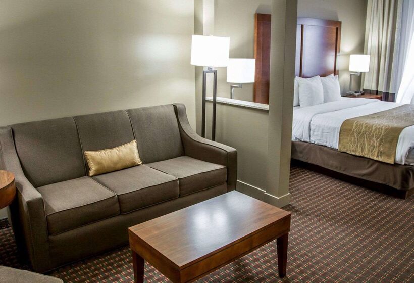 호텔 Comfort Inn & Suites Riverview Near Davenport And I80