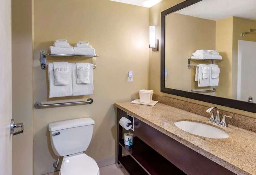 Отель Comfort Inn & Suites Tooelesalt Lake City