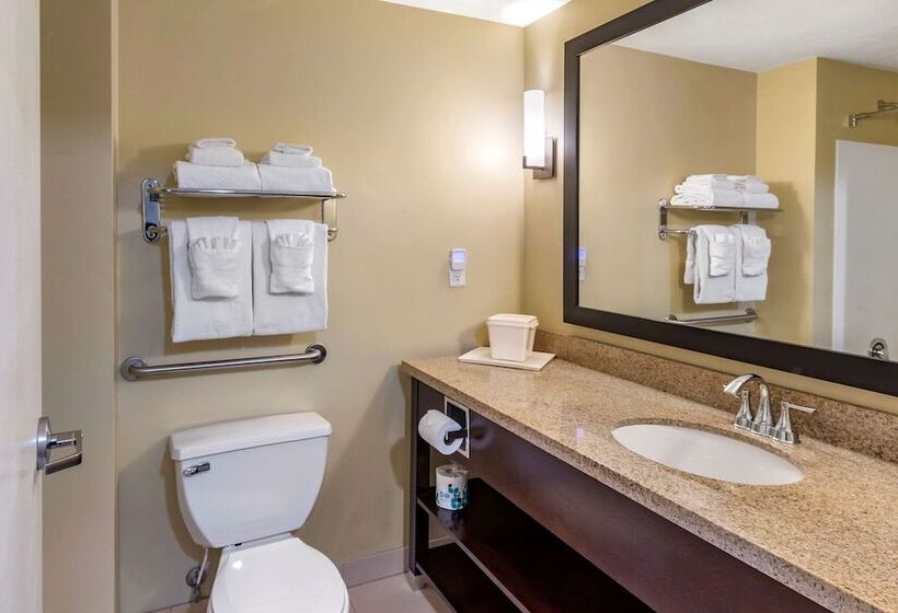 Отель Comfort Inn & Suites Tooelesalt Lake City