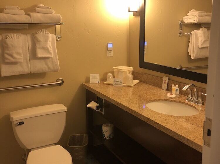 Отель Comfort Inn & Suites Tooelesalt Lake City