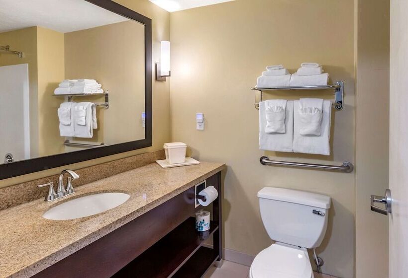 Отель Comfort Inn & Suites Tooelesalt Lake City