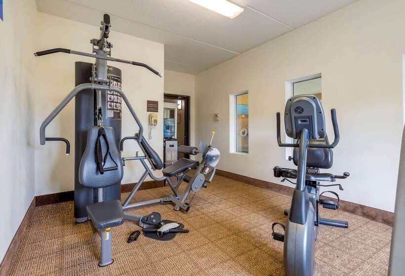 ホテル Comfort Inn & Suites Wilkes Barre  Arena