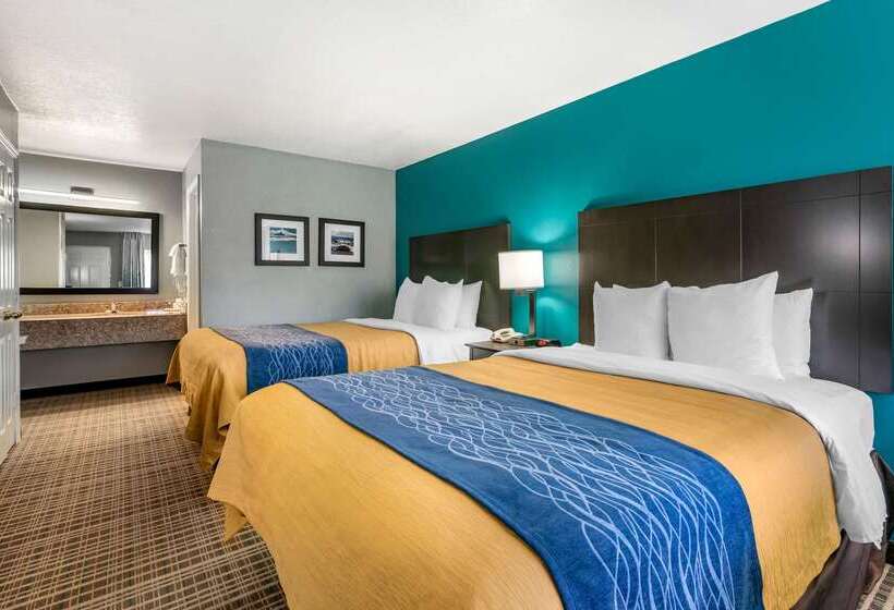 فندق Comfort Inn Sun City Center   Ruskin   Tampa South