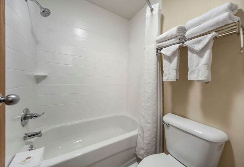 فندق Comfort Inn