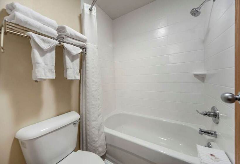 فندق Comfort Inn