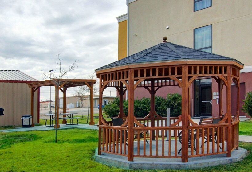 ホテル Comfort Suites Fort Stockton