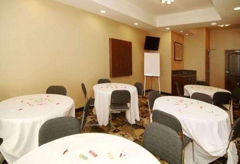 בית מלון כפרי Comfort Suites Fort Stockton