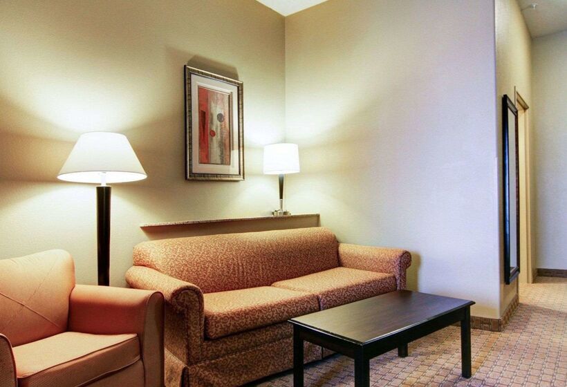 בית מלון כפרי Comfort Suites Fort Stockton