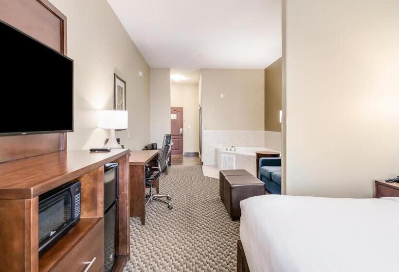 בית מלון כפרי Comfort Suites Fort Stockton