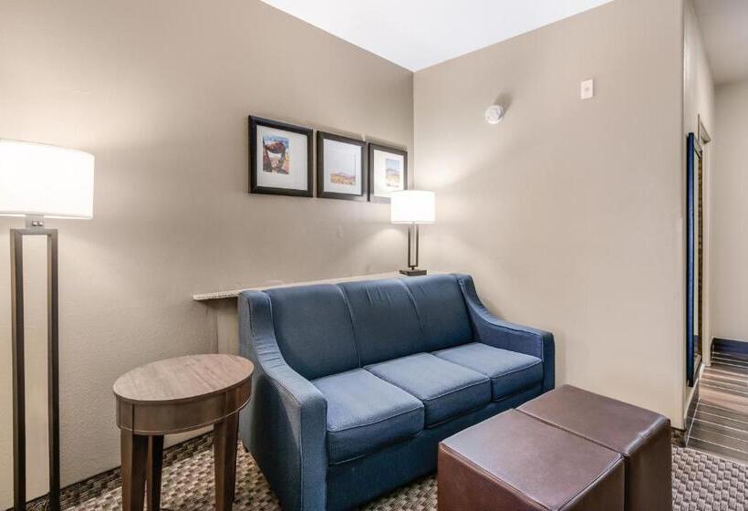 בית מלון כפרי Comfort Suites Fort Stockton
