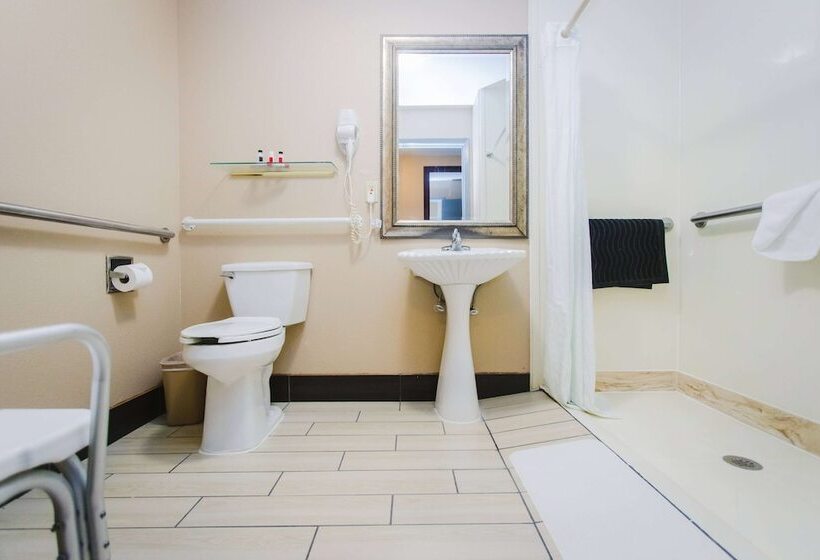 בית מלון כפרי Days Inn By Wyndham Rosenberg