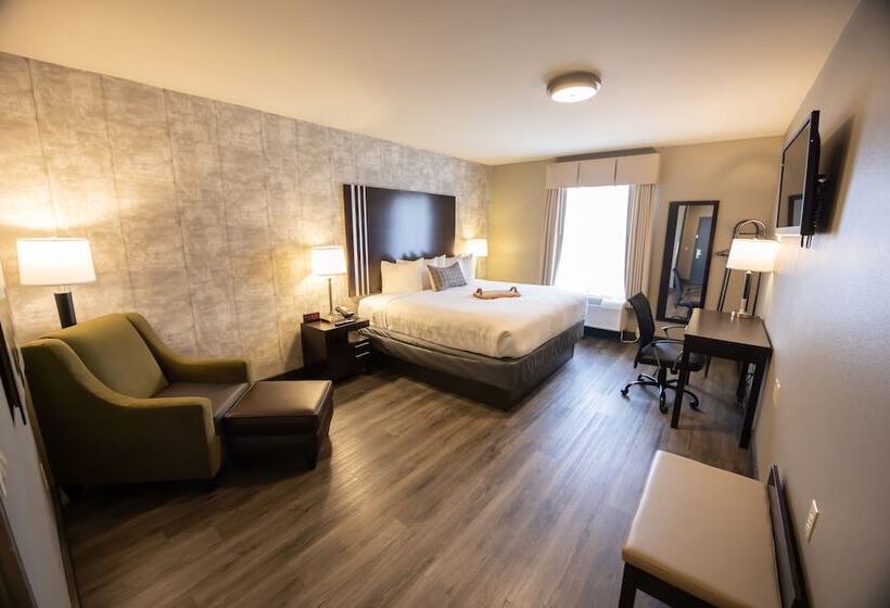 فندق Distill Inn