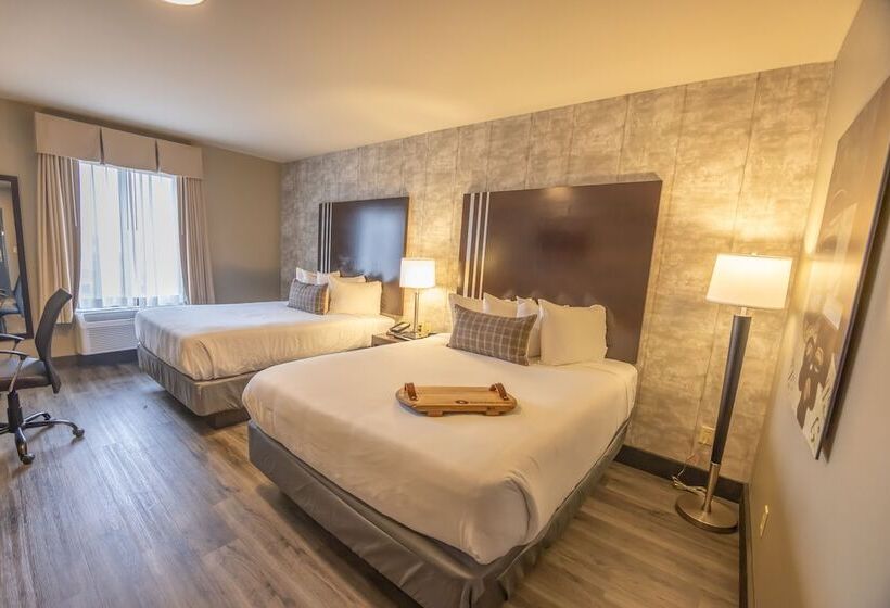 فندق Distill Inn