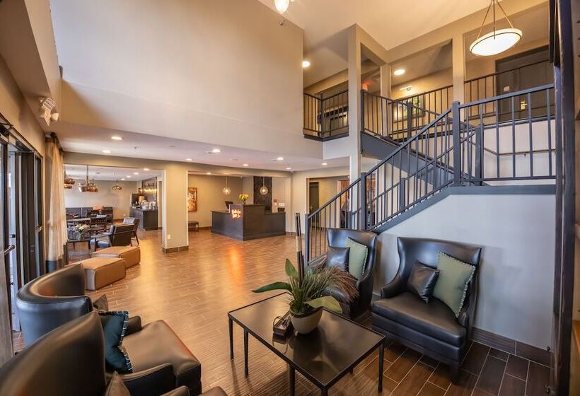 فندق Distill Inn