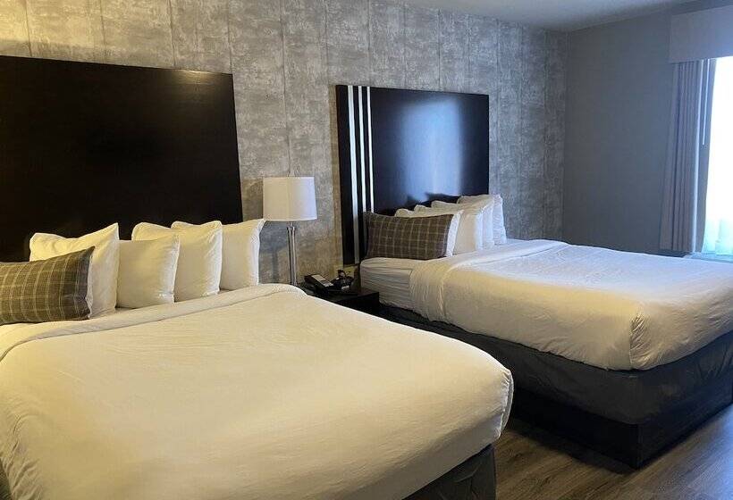 فندق Distill Inn