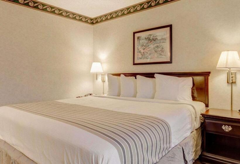 ホテル Econo Lodge Inn & Suites