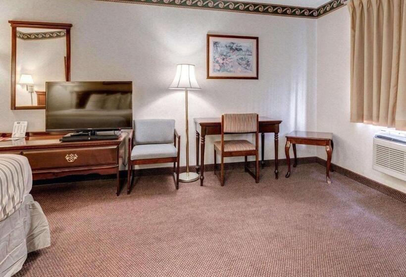 酒店 Econo Lodge Inn & Suites