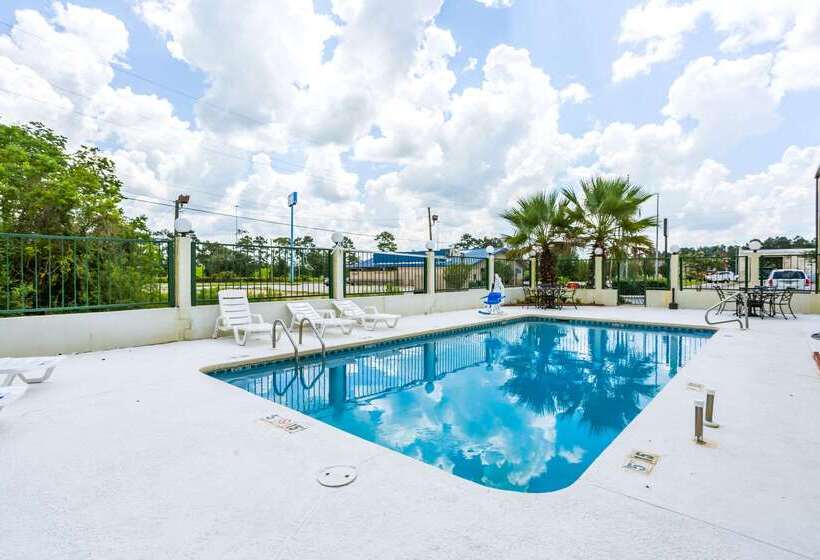 فندق Econo Lodge