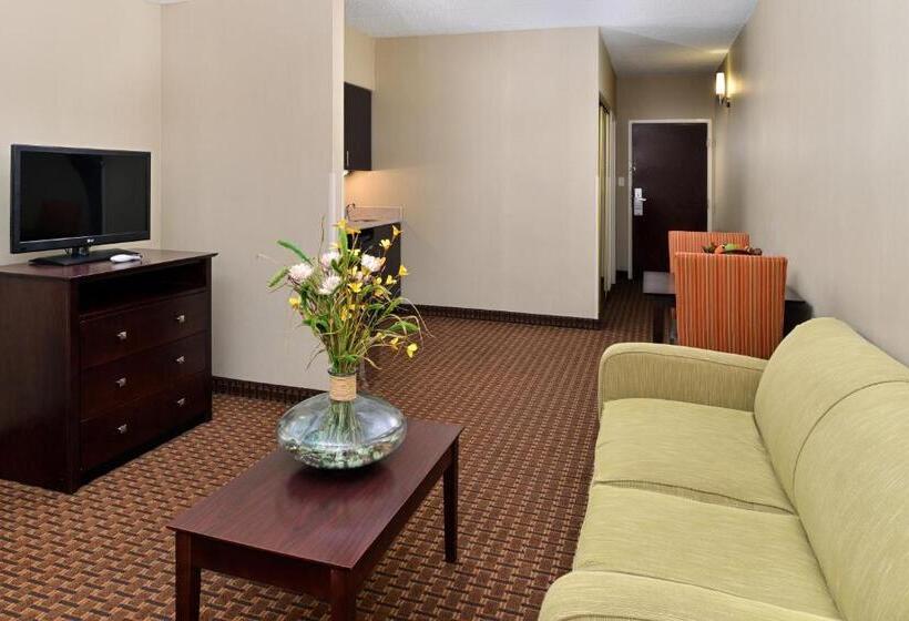 Holiday Inn Express Hotel & Suites Indianapolis W   Airport Area, An Ihg