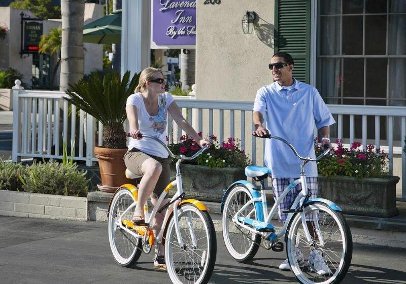 فندق Lavender Inn By The Sea