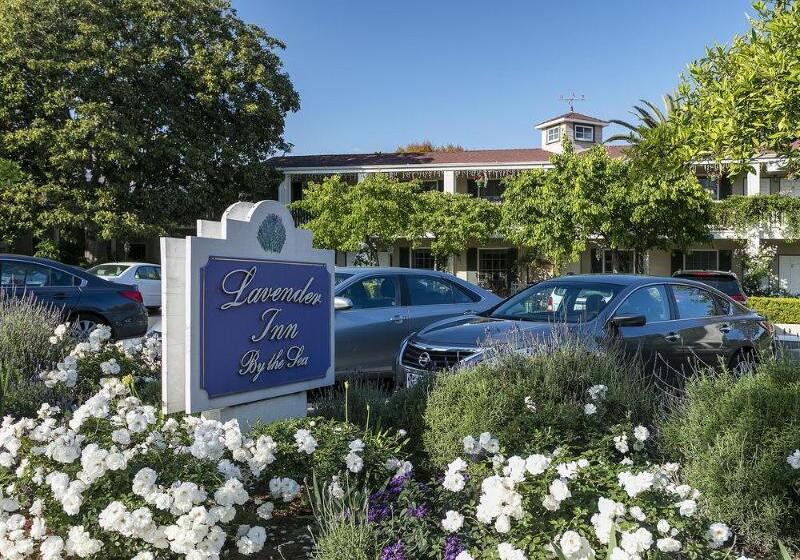 فندق Lavender Inn By The Sea